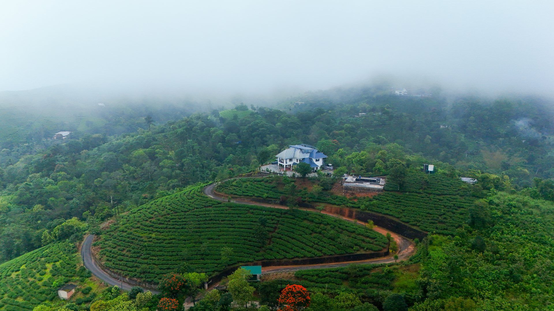 Aerial view of Zen Garden Vagamon on its hilltop, ringed by tea gardens and morning mist
